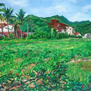 Taiwan village with field in foreground and green mountains in distance