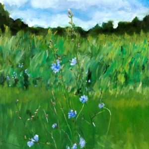 green field with small blue flowers