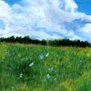 green field with small blue flowers