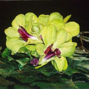 green and purple orchid with black background