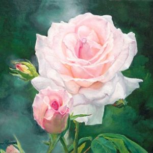 Painting of pink and white rose with green background