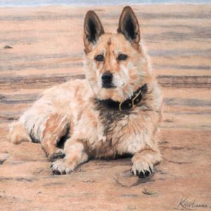 dog on beach facing forward attentively