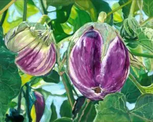 purple flower-like eggplant