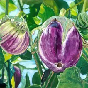 purple flower-like eggplant