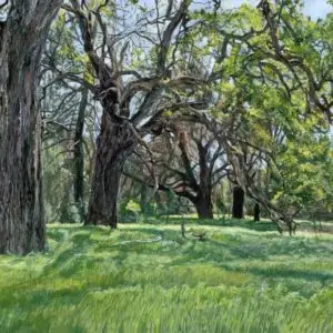 Grassy green meadow with oaks in a row