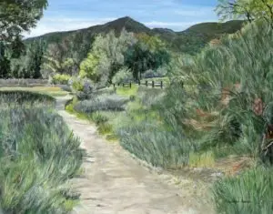 Hiking trail in park leading to mountains in Pinnacles National Park, California